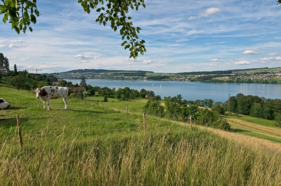 Aargau Birrwil Hallwilersee