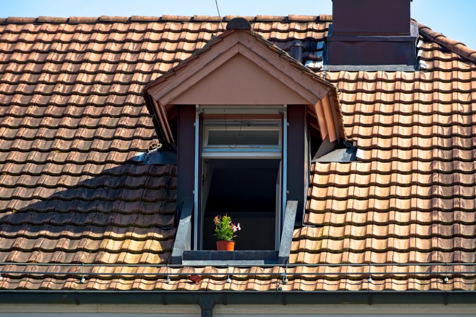 Bern Interlaken Hotel Artos Dachfenster Blumen