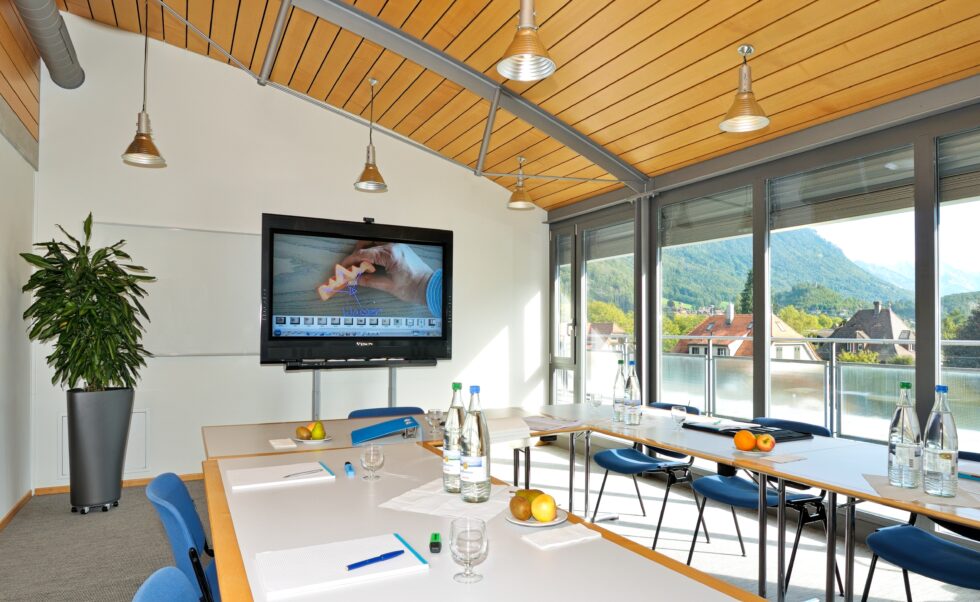 Bern Interlaken Hotel Artos Seminarraum