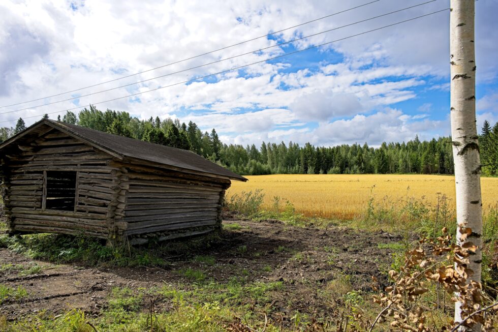 Finnland Ahlainen Landschaft Landwirtschaft