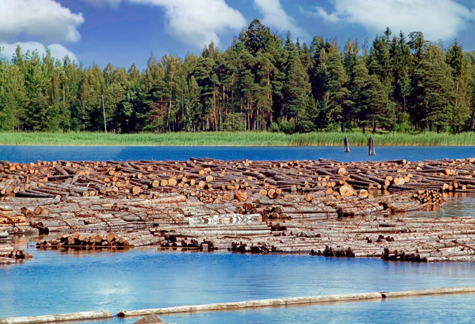 Finnland Landschaft Holzflösserei