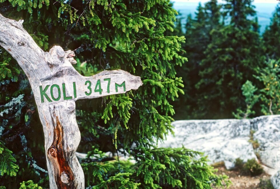 Finnland Berg Koli Wegweiser