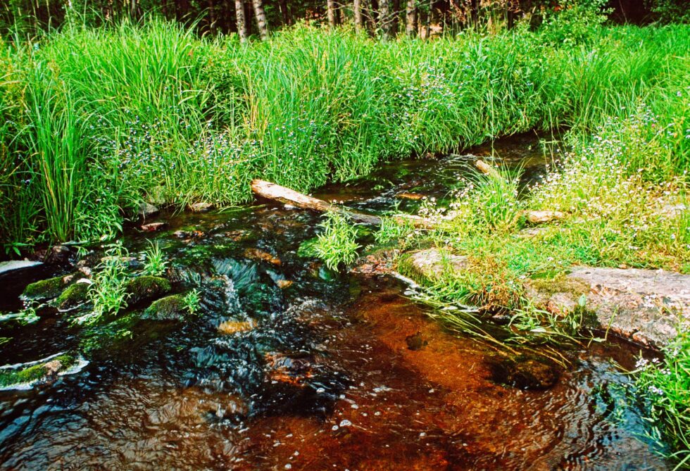 Finnland Kotka Fischerhütte Flussufer