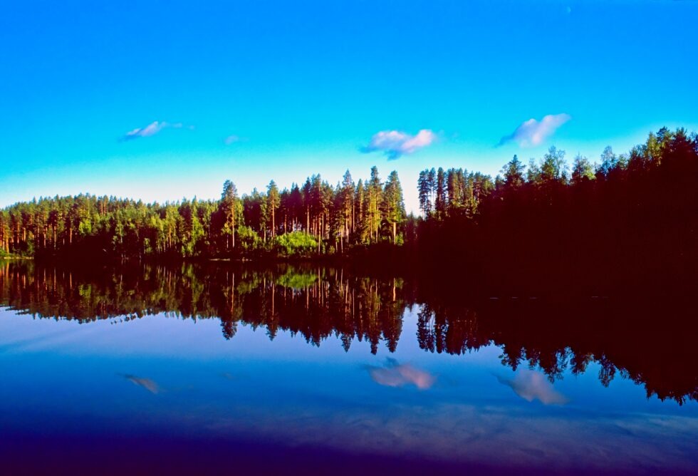 Finnland Kultakivi See Wald