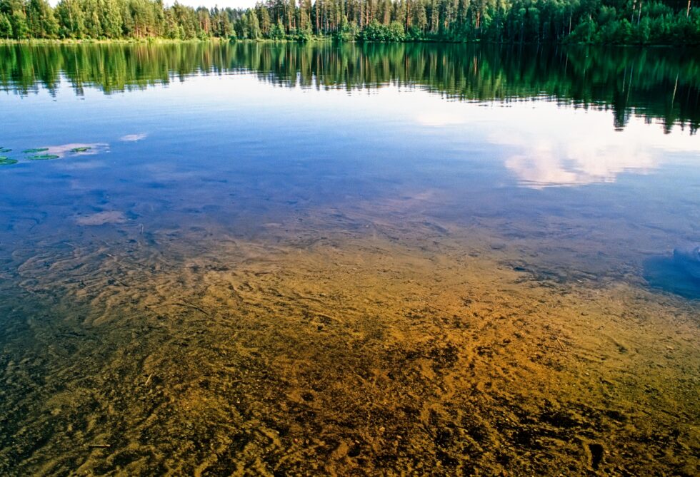 Finnland Kultakivi See Wald