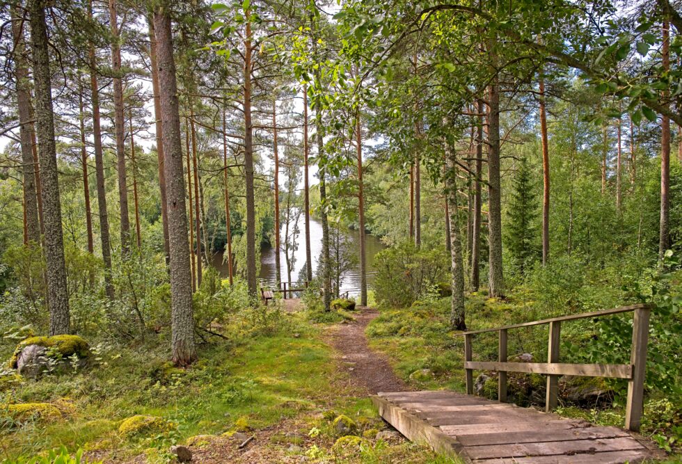 Finnland Näköalapaikka Landschaft