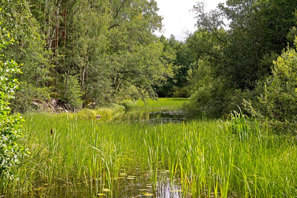 Finnland Näköalapaikka Landschaft