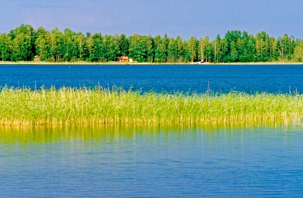 Finnland Punkaharju See Wald
